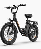 FALT E - RAD Lizzie V56 G- Lenker  20 x 3.0   V 54,6